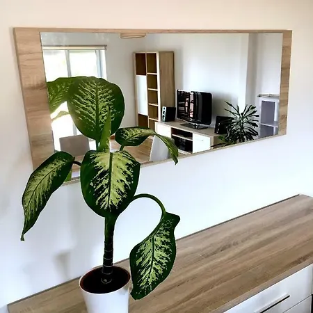 Casa Do O Apartment *