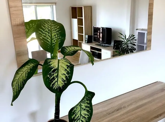 Casa Do O דירה *