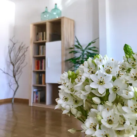 Casa Do O * Ponta Delgada