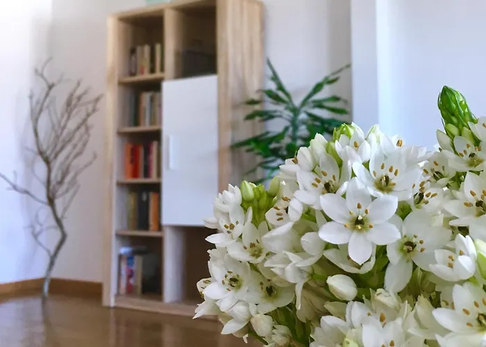 Casa Do O * Ponta Delgada